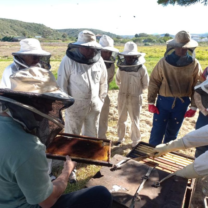 SCBIA Field Day_4