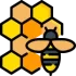 SCIBA icon SCIBA icon